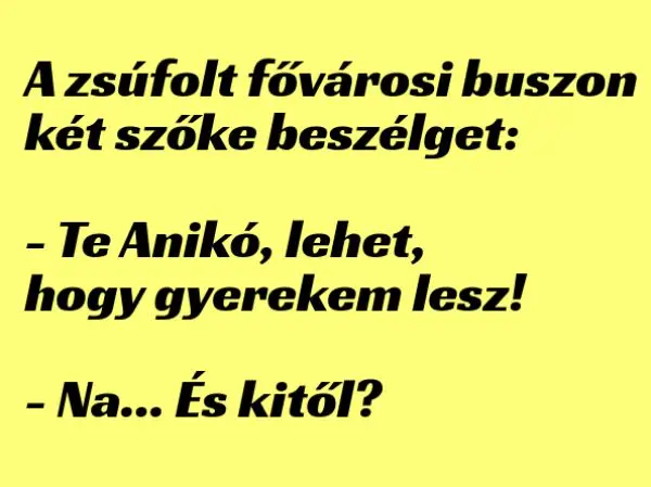 Vicc: A zsúfolt fővárosi buszon két szőke beszélget - ...