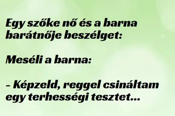 Vicc: Egy szőke nő és a barna barátnője beszélget -