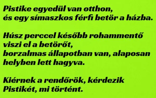 Vicc: Pistike egyedül van otthon, és egy símaszkos férfi betör