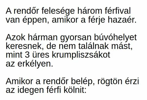 Vicc: A rendőr felesége három férfival van otthon, amikor a