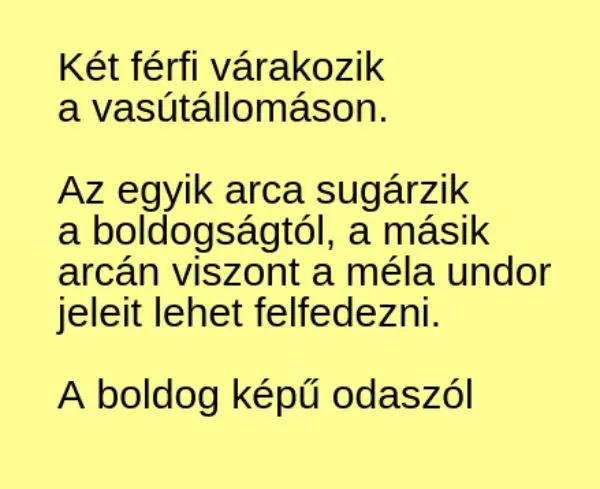 Vicc: Két férfi várakozik a vasútállomáson. Az egyik arca sugárzik