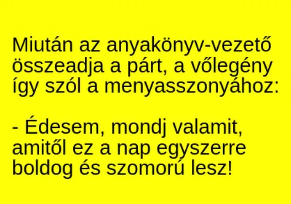 Vicc: Miután az anyakönyv-vezető összeadja a párt, a vőlegény így