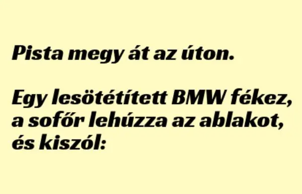 Vicc: Pista megy át az úton, egy BMW-s fékez, lehúzza