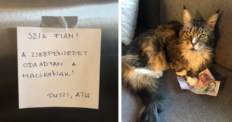 20 kép, amely bizonyítja, hogy az apák valójában olyanok, mint