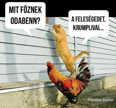 Mit főznek odabenn? A feleségedet, krumplival