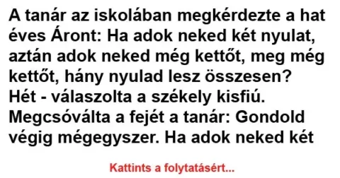 A tanár az iskolában megkérdezte a hat éves Áront...