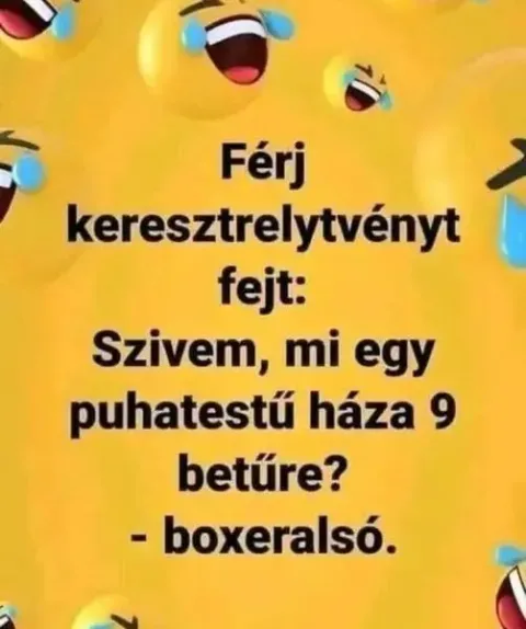Férj keresztrejtvényt fejt...