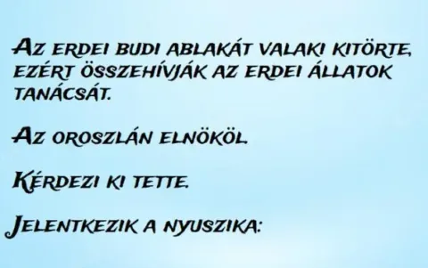 Vicc: Az erdei budi ablakát valaki kitörte, ezért összehívják az