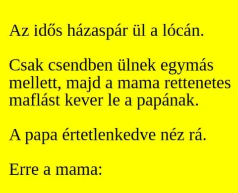 Vicc: Az idős házaspár csendben ül a lócán, majd a