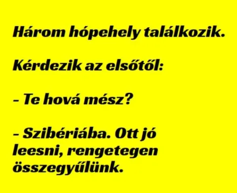 Vicc: Jönnek, már az ajtónkon kopogtatnak......