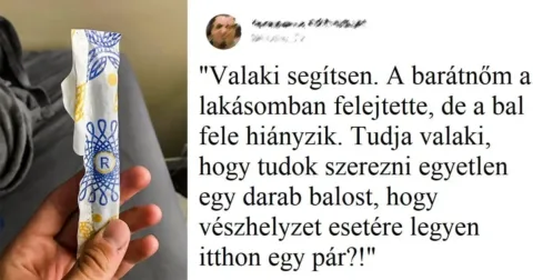 16 fotó, ami bebizonyítja, hogy a férfi humor és logika 16 bizonyság, ami azt mutatja, hogy a férfiak humora és gondolkodásmódja gyakran azonos…