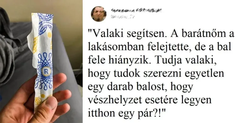 16 fotó, ami bebizonyítja, hogy a férfi humor és logika 16 bizonyság, ami azt mutatja, hogy a férfiak humora és gondolkodásmódja gyakran azonos…