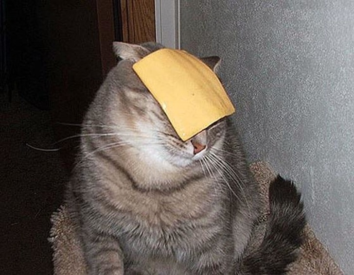 Bikuci
