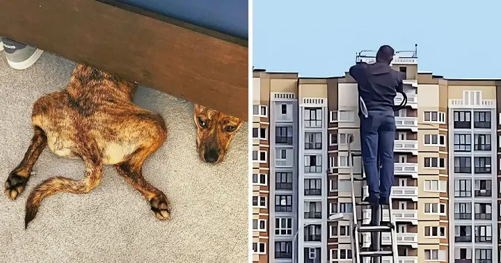 15 zavaros fotó, melyek túlpörgetik a fantáziánkat 15 fotó, melyek totálisan megzavarják az érzékelésed