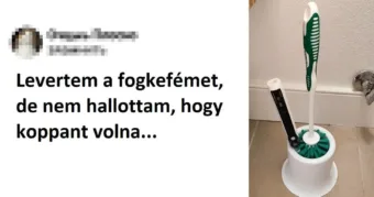 Vicc: 20+ ember, aki esélyesként indulhatna az idei Darwin-díjért...