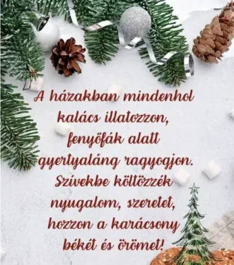 Boldog,békés karácsonyt kívánok, mindenkinek!