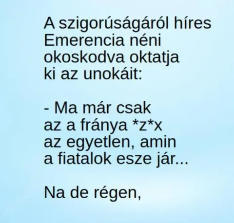 Vicc: A szigorúságáról híres Emerencia néni okoskodva oktatja ki az