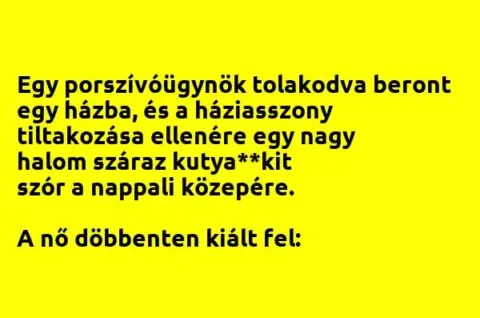 Vicc: Egy porszívóügynök tolakodva beront egy házba, és a háziasszony...