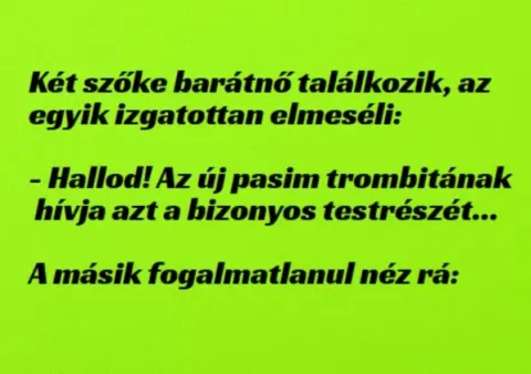 Vicc: Két szőke barátnő találkozik, az egyik izgatottan elmeséli:...