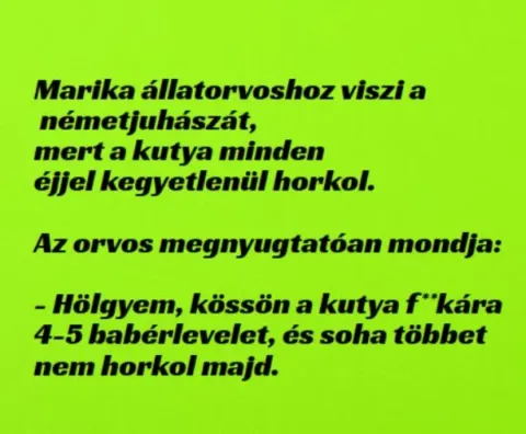 Vicc: Marika állatorvoshoz viszi a németjuhászát, mert a kutya minden