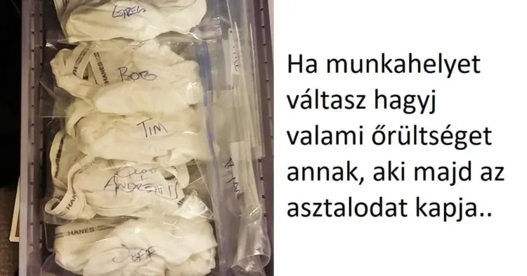 15 fotó, ami bebizonyítja, hogy a világot a humoristák uralják... 15 kép, melyek garantáltan mosolyt csalnak az arcodra