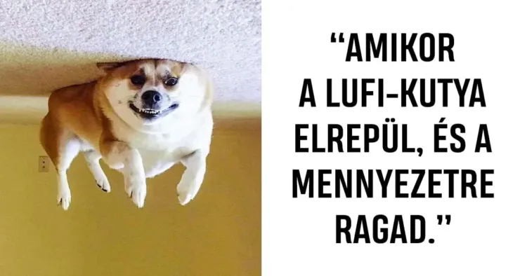 17 fotó, amely alátámasztja, hogy az élénk képzelőerővel rendelkező emberek 17 kép, melyek bizonyítják, hogy a nagy képzelőerővel rendelkező emberek életében több a szórakozás