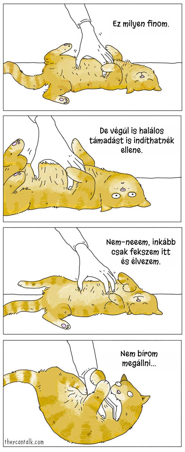 Illusztráció2