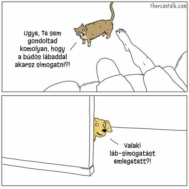 Illusztráció6