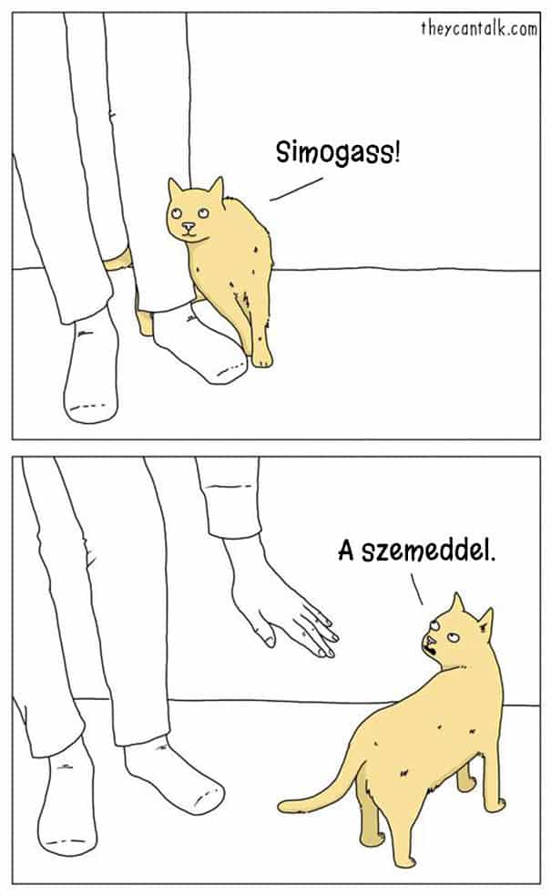 Illusztráció7