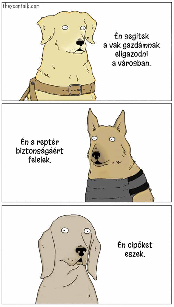 Illusztráció3