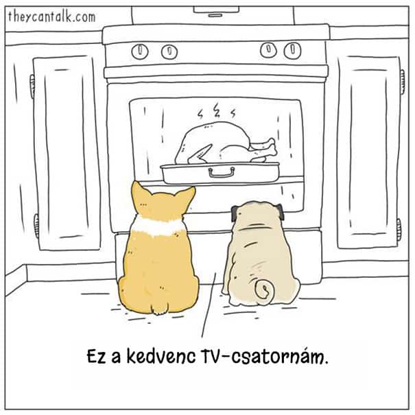 Illusztráció9
