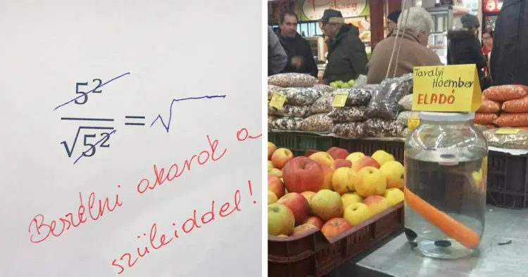 24 kép, ami bizonyítja, hogy ebben a világban már tényleg 24 csodálatos kép, ami bemutatja, hogy valóban nincs határ a lehetőségeknek