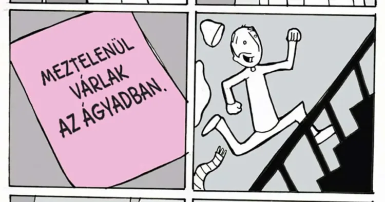 10 vicces képregény, ami remekül összefoglalja, hogy milyen is az 10 humoros képregény, ami tökéletesen bemutatja, milyen is a macskatulajdonos élet