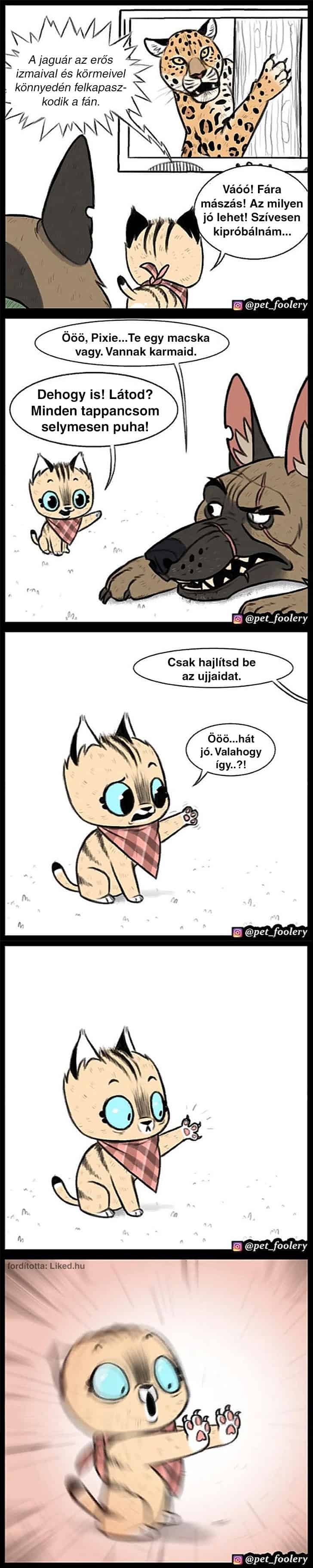 -tödik képregény