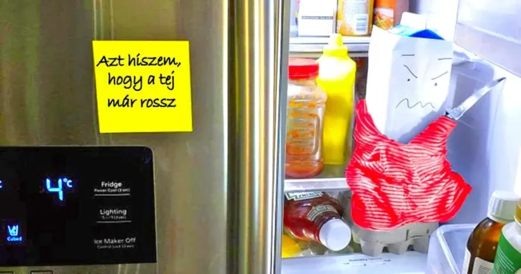 18 jófej házaspár, aki kimaxolta a házasságban rejlő lehetőségeket 18 jófej házaspár, aki kimaxolta a házasságban rejlő lehetőségeket