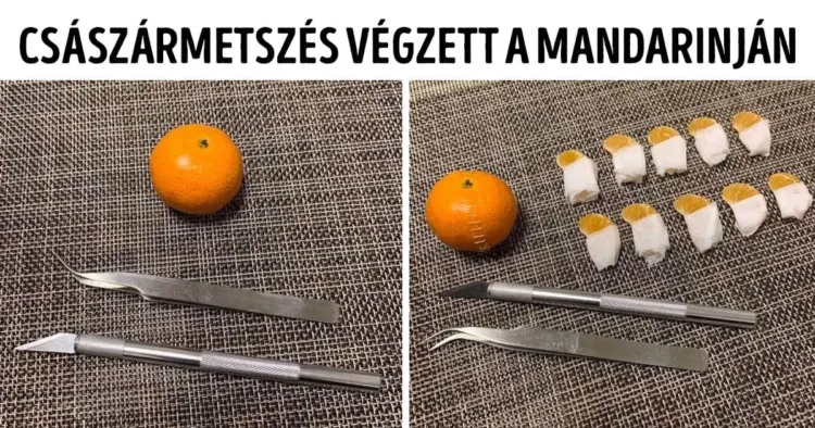 18 ember, aki szemmel láthatóan kezd becsavarodni kicsit a karantén 18 ember, aki szemlátomást a karantén ideje alatt szinte bekattan