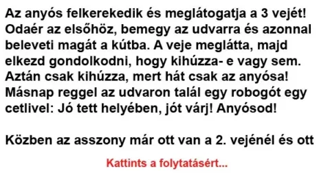 Vicc: Az anyós felkerekedik és meglátogatja a 3 vejét!…