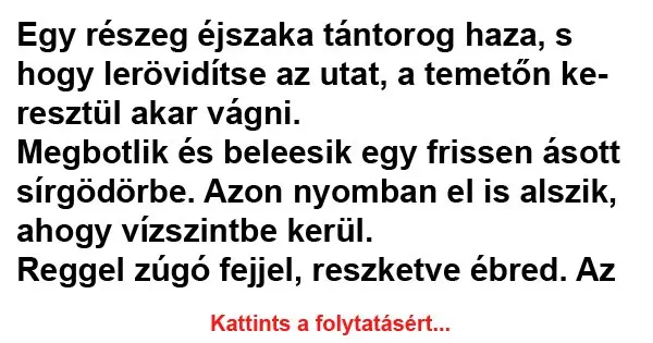 Vicc: Egy részeg éjszaka tántorog haza... Vicc: Egy részeg éjszaka tántorog haza…