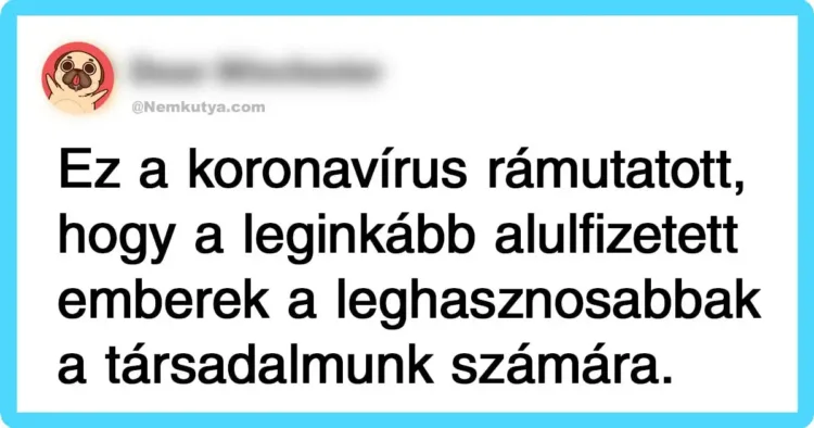 Íme, a legjobb karantén-bejegyzések, hogy neked már ne kelljen keresgélned A legizgalmasabb karantén-megjegyzések a közösségi médiából