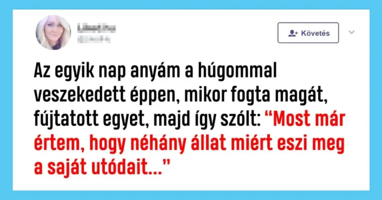 21 édesanya, aki ha kinyitja a száját, az egész család A szigorú humor: amikor az édesanyák adnak le a poénbombákat