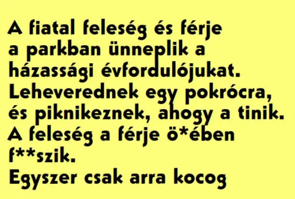 A fiatal feleség és férje a parkban ünneplik a házassági A fiatal feleség és férje a parkban ünneplik a házassági évfordulójukat. – …