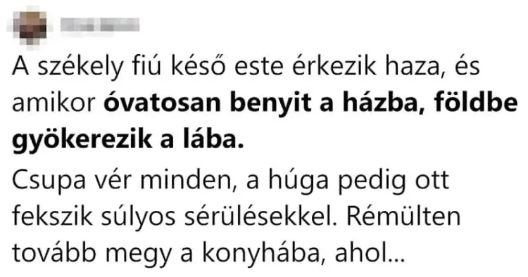 Vicc: A székely fiú késő este érkezik haza... Vicc: A székely fiú késő este érkezik haza…