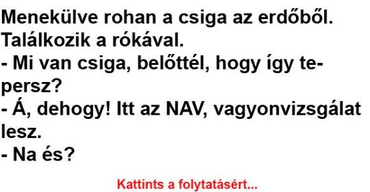 Vicc: Menekülve rohan a csiga az erdőből... Vicc: Menekülve rohan a csiga az erdőből…