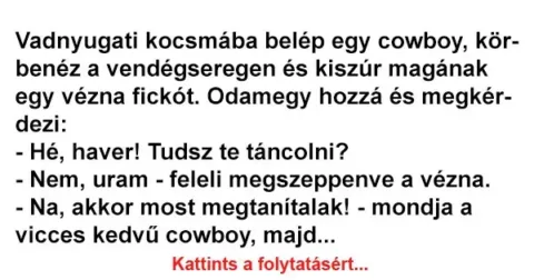 Vicc: Vadnyugati kocsmába belép egy cowboy…