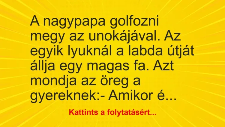 Vicc: A nagypapa golfozni megy az unokájával. Az egyik lyuknál a labda útját állja… Vicc: A nagypapa golfozni megy az unokájával. Az egyik lyuknál a labda útját állja…