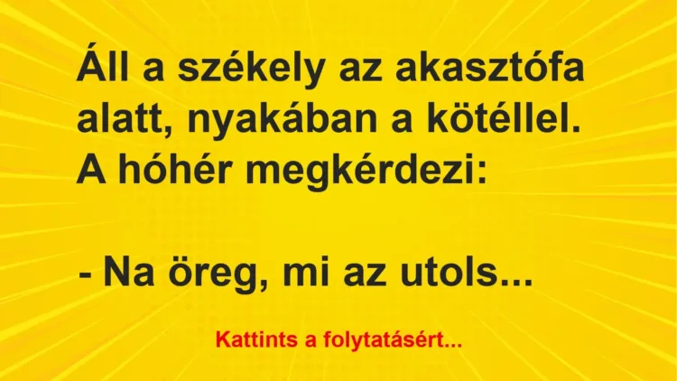 Vicc: Áll a székely az akasztófa alatt, nyakában a kötéllel. A hóhér… Vicc: Áll a székely az akasztófa alatt, nyakában a kötéllel. A hóhér…