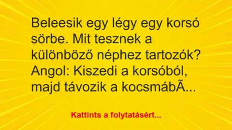 Vicc: Beleesik egy légy egy korsó sörbe. Mit tesznek a különböző néphez…