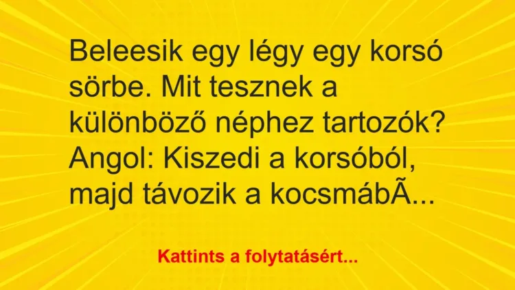 Vicc: Beleesik egy légy egy korsó sörbe. Mit tesznek a különböző néphez… Vicc: Beleesik egy légy egy korsó sörbe. Mit tesznek a különböző néphez…