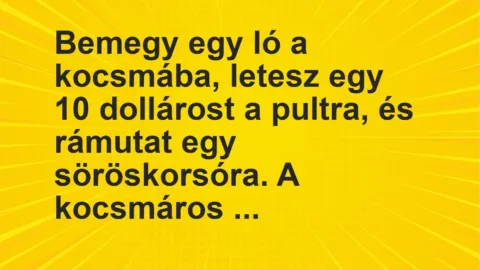 Vicc: Bemegy egy ló a kocsmába, letesz egy 10 dollárost a pultra, és rámutat egy…