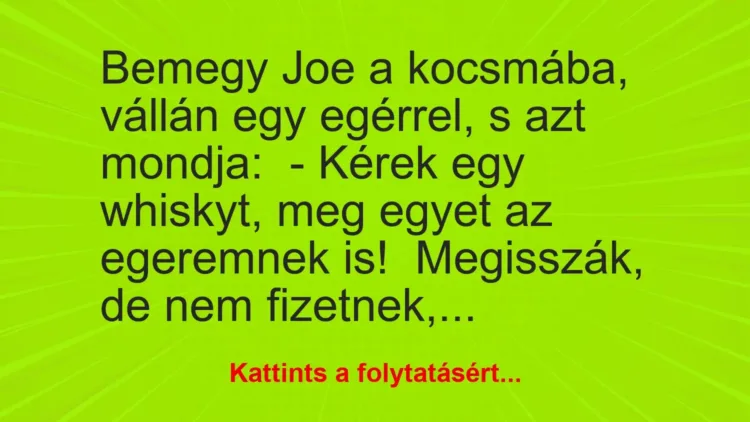 Vicc: Bemegy Joe a kocsmába, vállán egy egérrel, s azt mondja:
– Kérek egy… Vicc: Bemegy Joe a kocsmába, vállán egy egérrel, s azt mondja:
– Kérek egy…